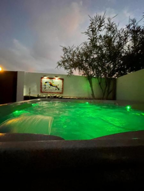 Gecko House